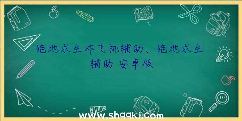 绝地求生炸飞机辅助、绝地求生